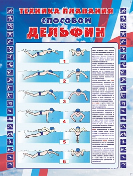 Техника плавания способом ДЕЛЬФИН